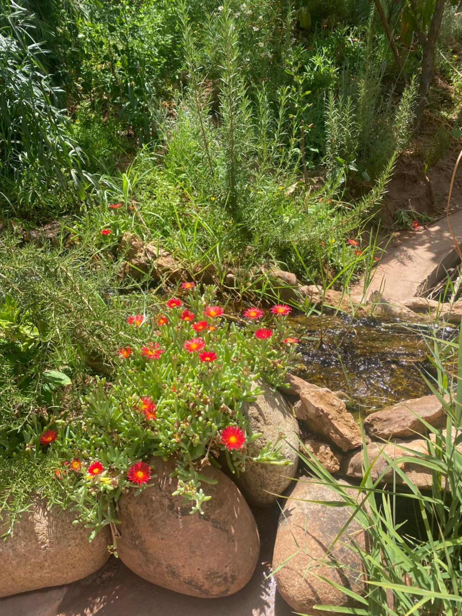 Jardin Sakina - Chambre D'Hotes Oulad Moumene Exterior photo